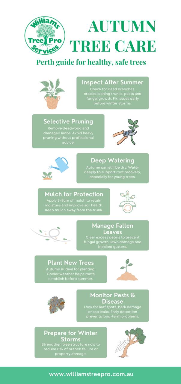 Autumn Tree Care - Williams Tree Pro 